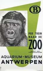 Publi Peso, Per Trein naar de Zoo Antwerpen, 1958, poster