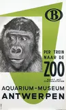 Publi Peso, Per Trein naar de Zoo Antwerpen, 1958, poster
