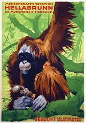 Ludwig Hohlwein, Menschenaffenstation im Münchener Tierpark Hellabrunn, poster