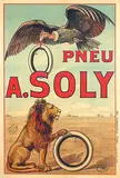 Cataos, Pneu A. Soly, poster