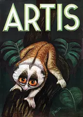 Gomarus Snelten, Artis, (slow loris), poster