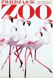 Waldemar Świerzy, Zwiedzajcie Zoo (flamingo's)