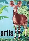 Arthur Goldsteen, artis (okapi)