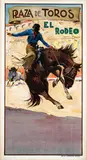 Carlos Ruanos Llopis, Plaza de Toros el Rodeo, poster