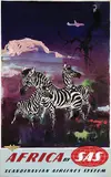 Otto Nielsen, SAS South Africa (zebras)