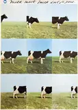 Jan Cremer, Melk moet. Melk doet je goed., 1976, poster