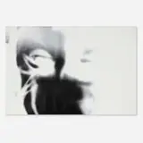 Joseph La Piana, Muted Black and White, 2002, photonastic on canvas