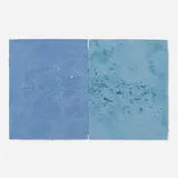 Joe Goode, Shotgun (diptych)