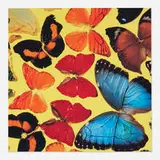 Damien Hirst, Gagosian Gallery exhibition mailer, 2008, offset lithograph in colors on card
