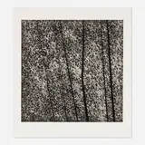 Robert Kipniss, Untitled, mezzotint
