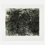 Terry Winters, Untitled, 2001, inkjet print