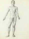 Allyn Cox, Male Nude Study for the Archangel Gabriel,St