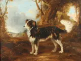 James P. McInness, Portrait of a Dog, Oil on canvas