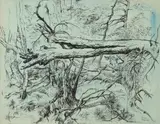 Tree Study in Blue by George Grosz, Pen and ink with watercolor, sold Feb 2016