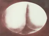 J. L. Steg, The Buttocks, Color etching