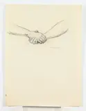Allyn Cox, Study for Clasped Hands of Generals Ulysses S, Lee, charcoal on paper, signed lower right