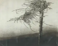 Vaino Kola, Tree, Etching with aquatint