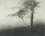 Vaino Kola, Tree, Etching with aquatint