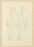 Return,Return Shulamite from Song of Songs of Solomon by Salvador Dalí, Color etching, sold Jun 2016