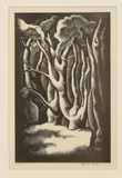Howard Cook, Wood Interior, Wood engraving