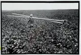 Laying Irrigation Pipes by Leonard Freed, Silver gelatin print, vintage imp., offered Jun 2016