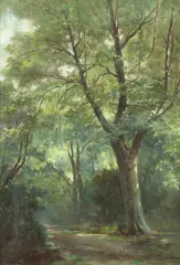 Barbizon School, Forest Scene, Oil on canvas