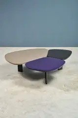 India Mahdavi, Table basse "Flower", A "Flower" coffee table in lacquered wood by India Mahdavi designed in 2006