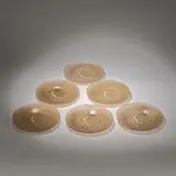 René Lalique, Six 'Une Figurine et Fleurs' assiettes, designed 1920, Clear glass with sepia staining, frosted and polished