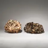 Anita Rich, Two organic forms, mid-late 20th Century, Glazed stoneware