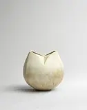John Ward, 'Tulip' vessel