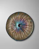 Tiffany Studios, Tiffany 'Peacock' Plaque 1900 favrile glass, engraved 'L. C. Tiffany – Inc. Favrile M4678' diameter 18in (46cm), Tiffany 'Peacock' Plaque 1900 favrile glass, engraved 'L