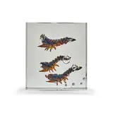 Alfredo Barbini, Aquarium Sculpture with Three Shrimp, internally decorated glass, etched 'A