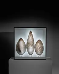 Tobias Mohl, 3 Part Twill Collection, blown glass, painted wood, and acrylic with internal lighting and presentation box, each sculpture engraved 'Tobias Mohl 2016'