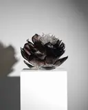 Martin Blank, Smokey Bronze Lotus, Smokey Bronze Lotus