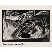 Robert Rauschenberg, Untitled (Alligator, Fort Meyer), 1979, Gelatin silver print