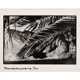 Robert Rauschenberg, Untitled (Alligator, Fort Meyer), 1979, Gelatin silver print