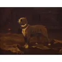 Arthur Wardle, An Old English Bulldog, Oil on canvas