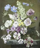 Gerald Cooper, Scabious, Poppies And Petunias
