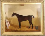 Thomas Temple, Portrait Of A Bay Racehorse, Believed To Be `Cyrus`