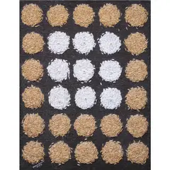 Hermi Santo, Rice Cake, rice and acrylic on burlap