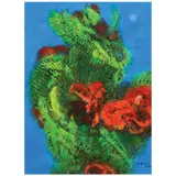 Juvenal Sansó Garrit, Floral