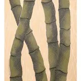 Leopoldo Aguilar, Bamboo Series, acrylic on canvas