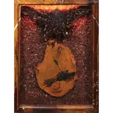 Kim Hamilton Sulit, Onion 1, assemblage in shadow box