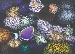 Jay Mclean, Surgeonfish in Paradise I, acrylic on canvas