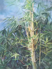 Cris Cruz, Eternal Spring, watercolor on paper