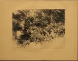 El Hardin by Fernando Zóbel de Ayala y Montojo, etching 46/50, sold Jul 2019