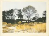Okomoto, Untitled, print 90/100