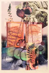 Ross Capili, Earthly Wish, print