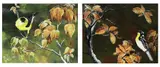 Dan Reventor, a.) My Winged Creatures 2010 b.) The Warbler 2010, a.acrylic on canvas b.acrylic on canvas