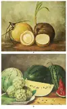 Elias Laxa, a.) Still Life 1 b.) Still Life 2, a.oil on canvas b.oil on canvas